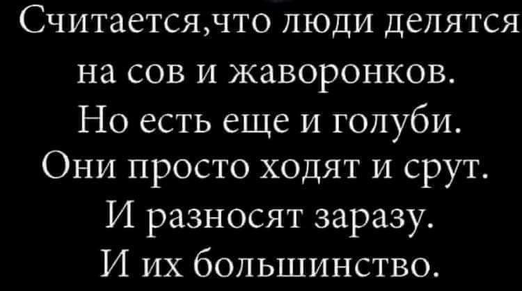 Считается, что люди делятся
на сов и жаворонков.
Но есть еще и голуби.
Они просто ходят и срут.
И разносят заразу.
И их большинство.