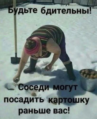 Будьте бдительны! Соседи могут посадить картошку раньше вас!