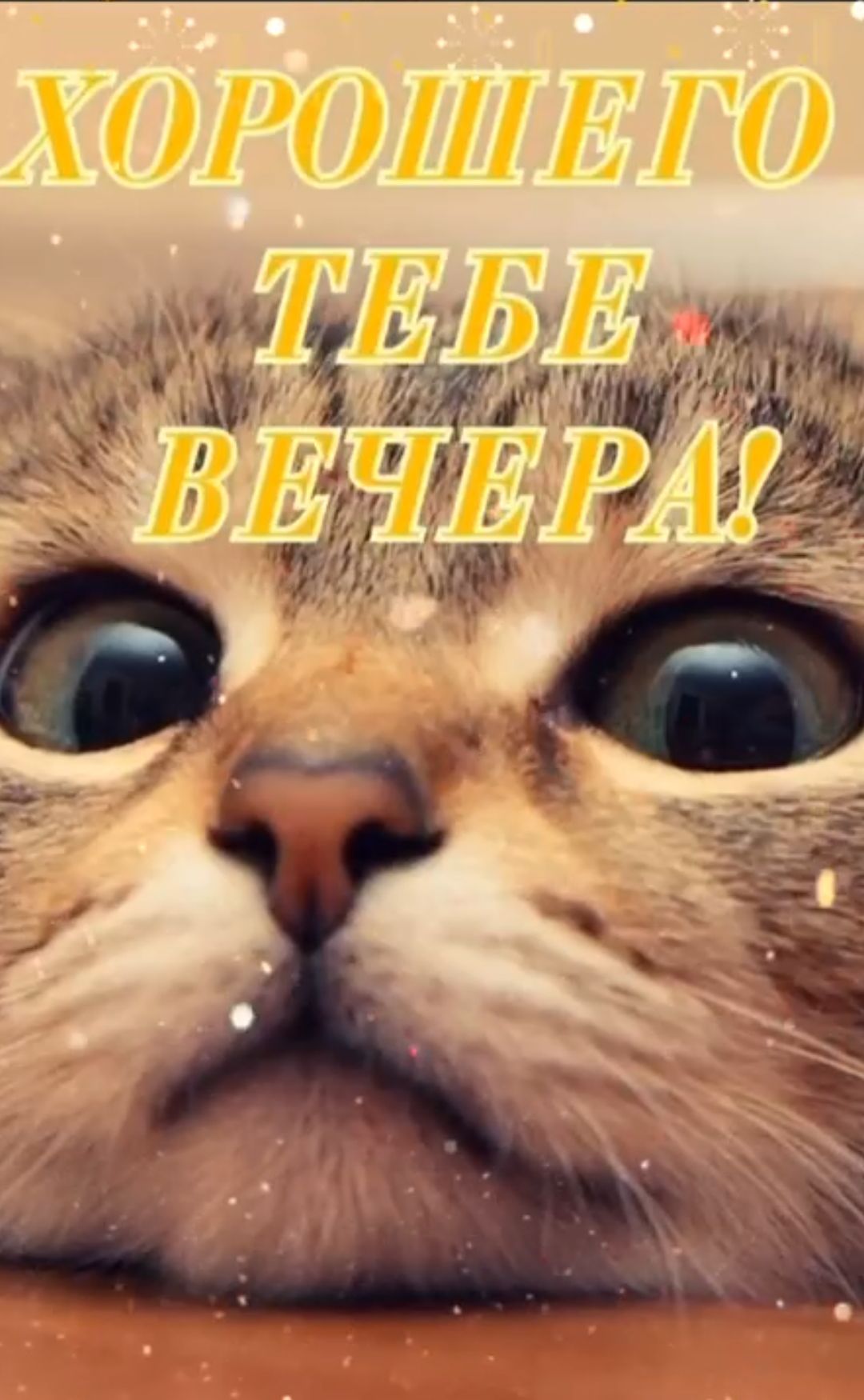 ХОРОШЕГО ТЕБЕ ВЕЧЕРА!