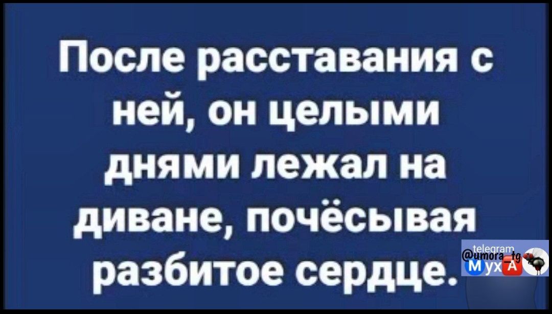 После расставания с ней, он целыми днями лежал на диване, почесывая разбитое сердце.