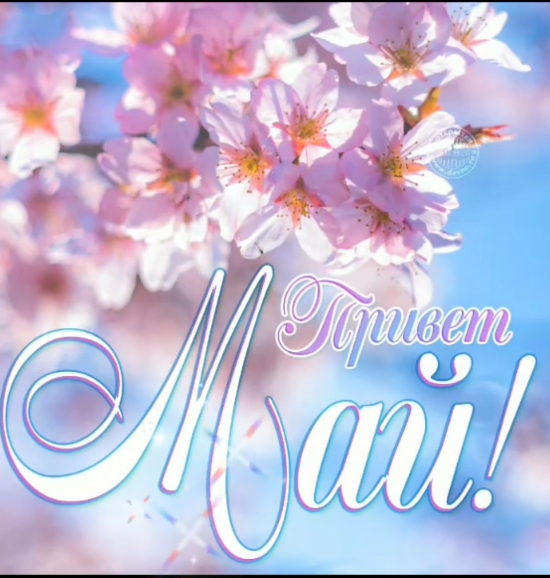 Привет Май!