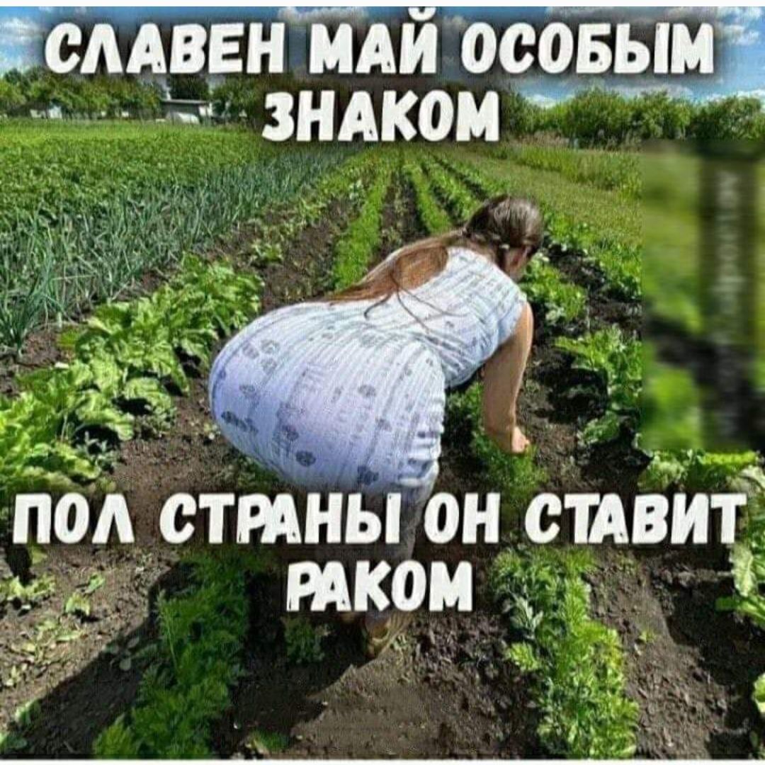 СЛАВЕН МАЙ ОСОБЫМ ЗНАКОМ ПОЛ СТРАНЫ ОН СТАВИТ РАКОМ