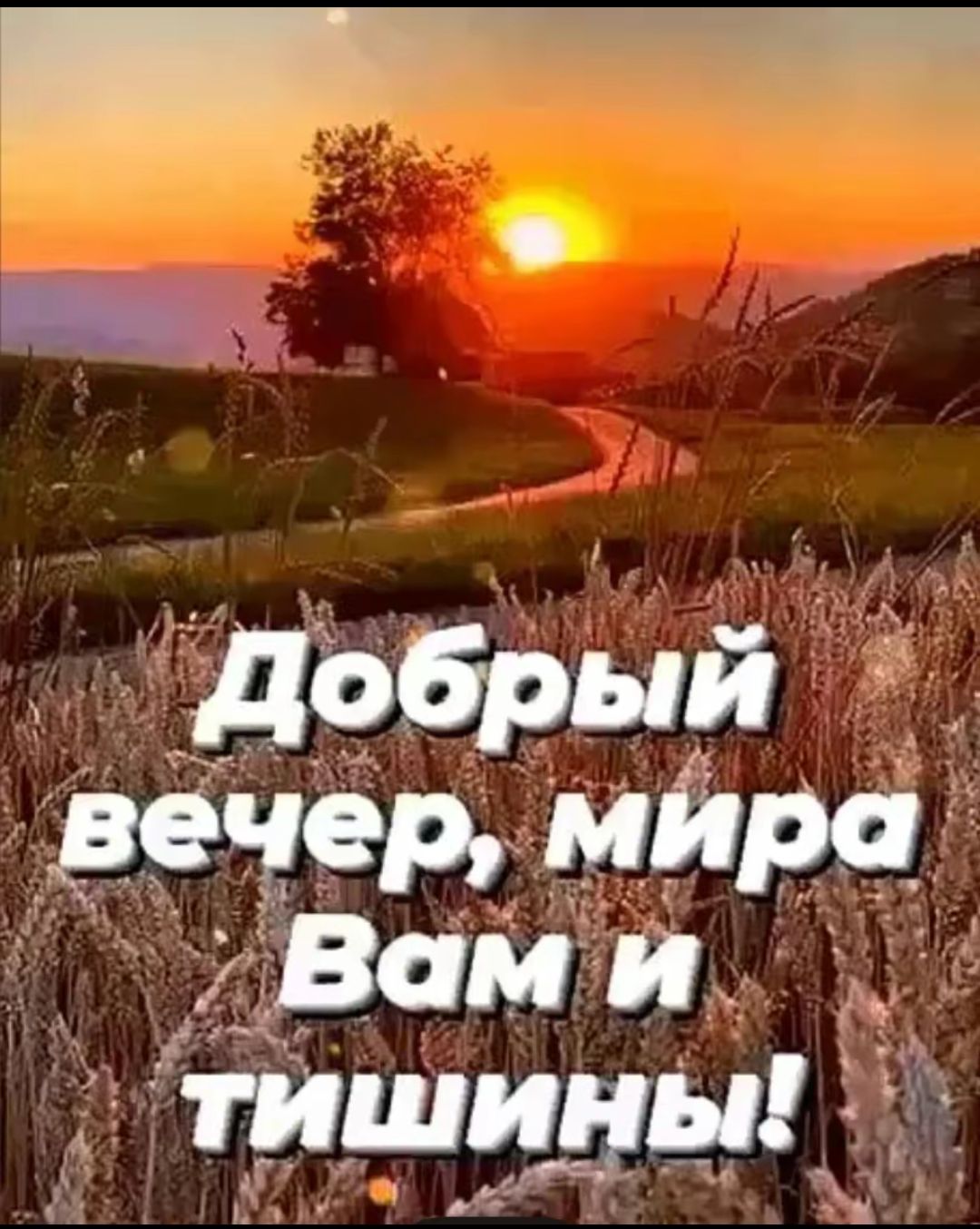 Добрый вечер, мира Вам и тишины!