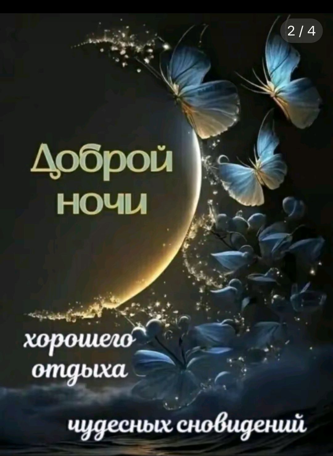 Доброй ночи
хорошего отдыха
чудесных сновидений