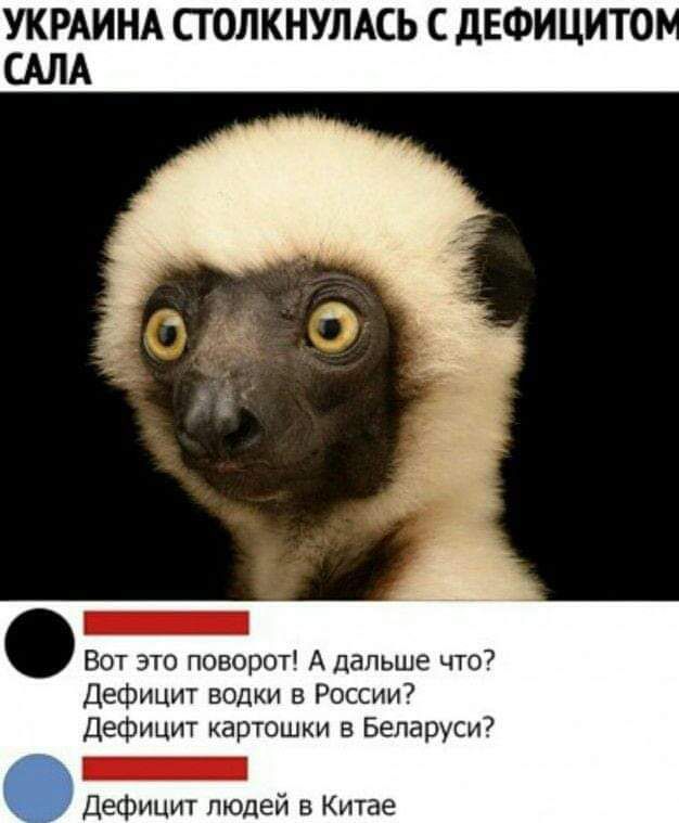 УКРАИНА СТОЛКНУЛАСЬ С ДЕФИЦИТОМ САЛА
Вот это поворот! А дальше что?
Дефицит водки в России?
Дефицит картошки в Беларуси?
Дефицит людей в Китае