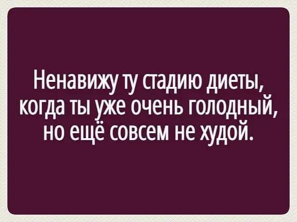 Ненавижу ту стадию диеты, когда ты уже очень голодный, но ещё совсем не худой.