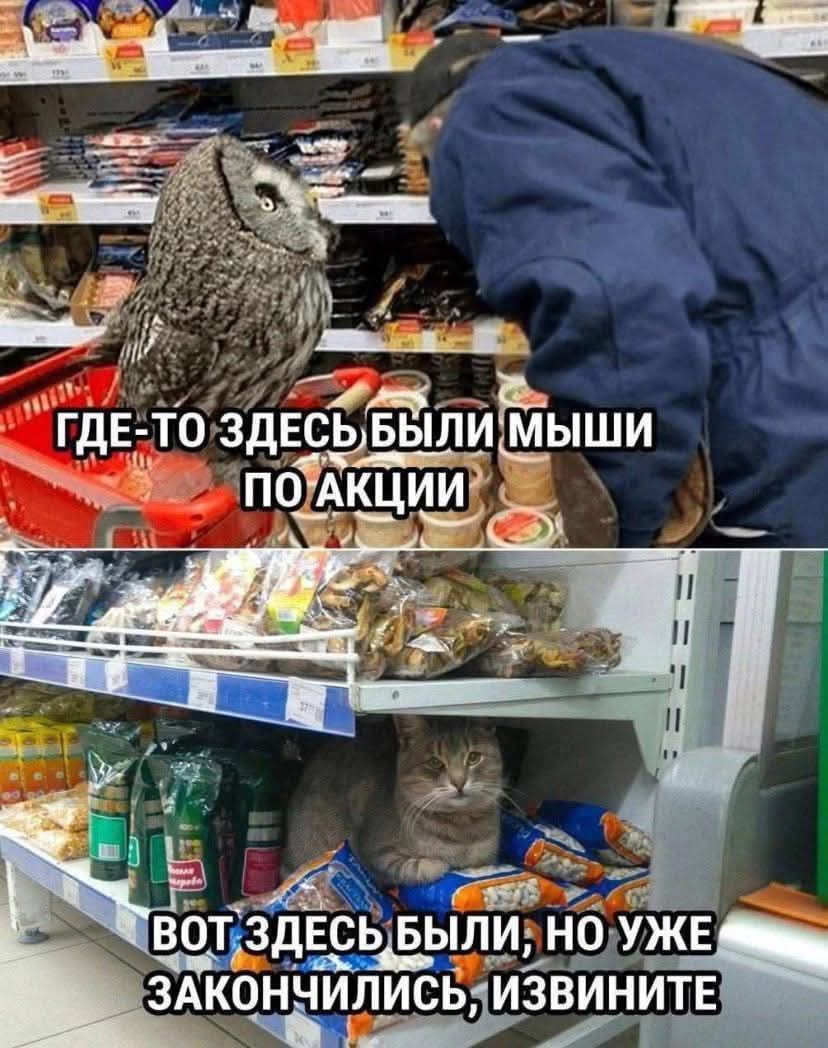 ГДЕ-ТО ЗДЕСЬ БЫЛИ МЫШИ ПО АКЦИИ. ВОТ ЗДЕСЬ БЫЛИ, НО УЖЕ ЗАКОНЧИЛИСЬ, ИЗВИНИТЕ.
