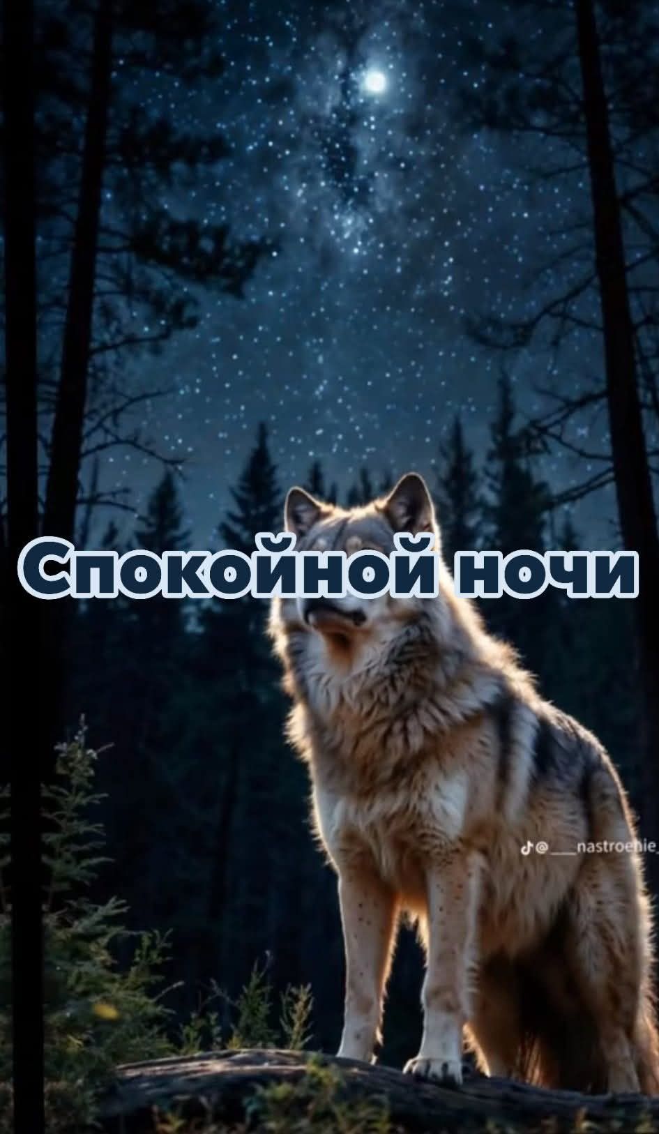 Спокойной ночи