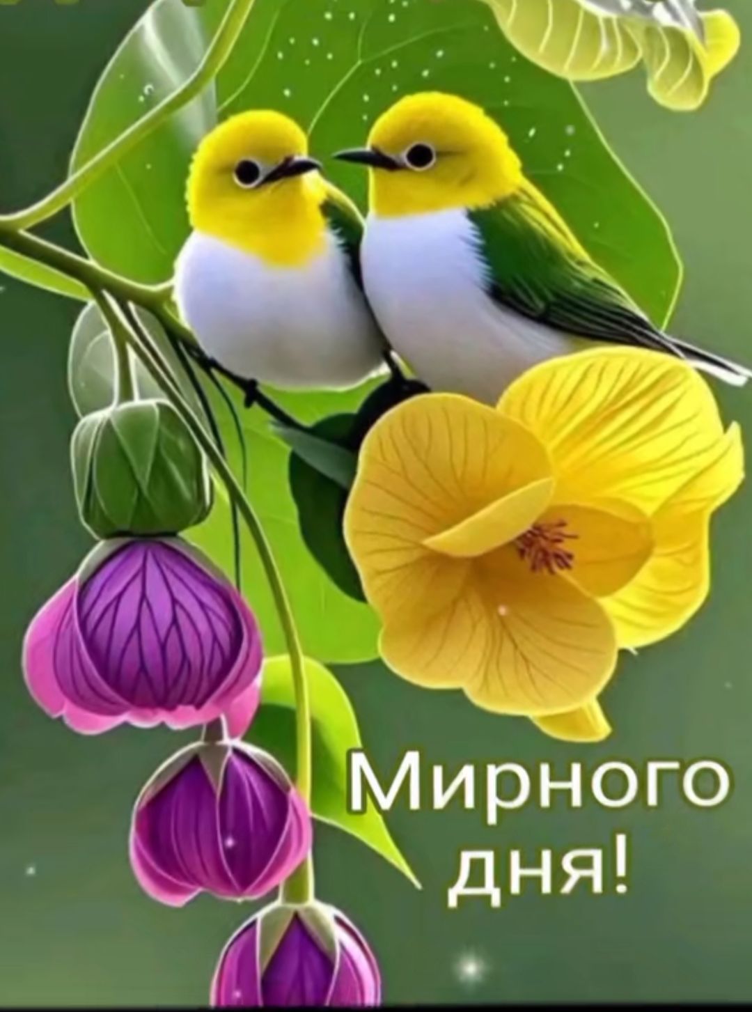 Мирного дня!