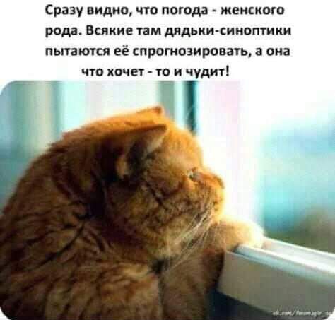 Сразу видно, что погода - женского рода. Всякие там дядьки-синоптики пытаются её спрогнозировать, а она что хочет - то и чудит!