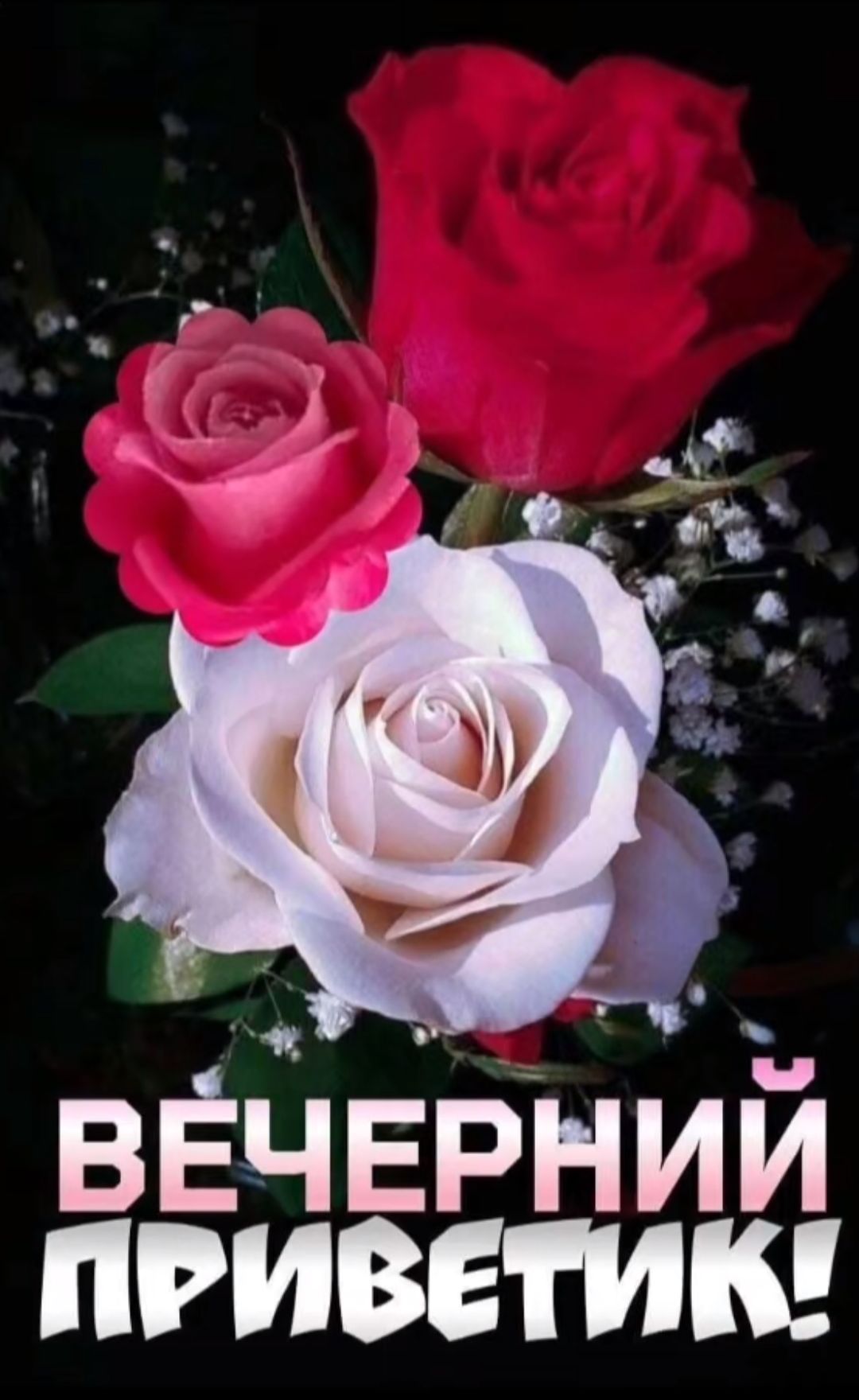ВЕЧЕРНИЙ ПРИВЕТИК!