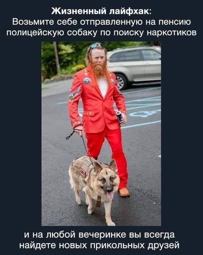 Жизненный лайфхак: Возьмите себе отправленную на пенсию полицейскую собаку по поиску наркотиков и на любой вечеринке вы всегда найдёте новых прикольных друзей.
