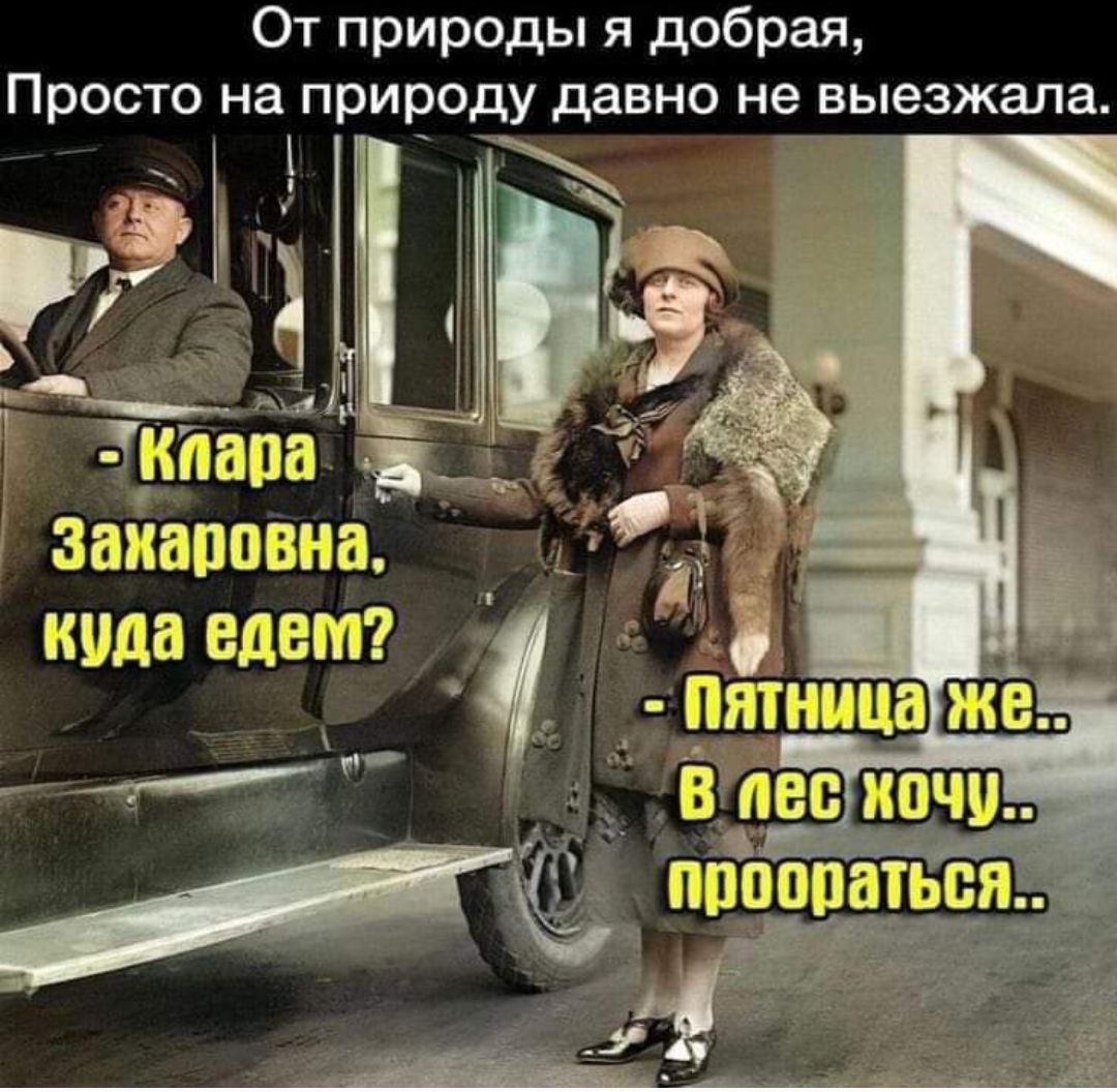 От природы я добрая, Просто на природу давно не выезжала.
- Клара Захаровна, куда едём?
- Пятница же... В лес хочу... пророиться...