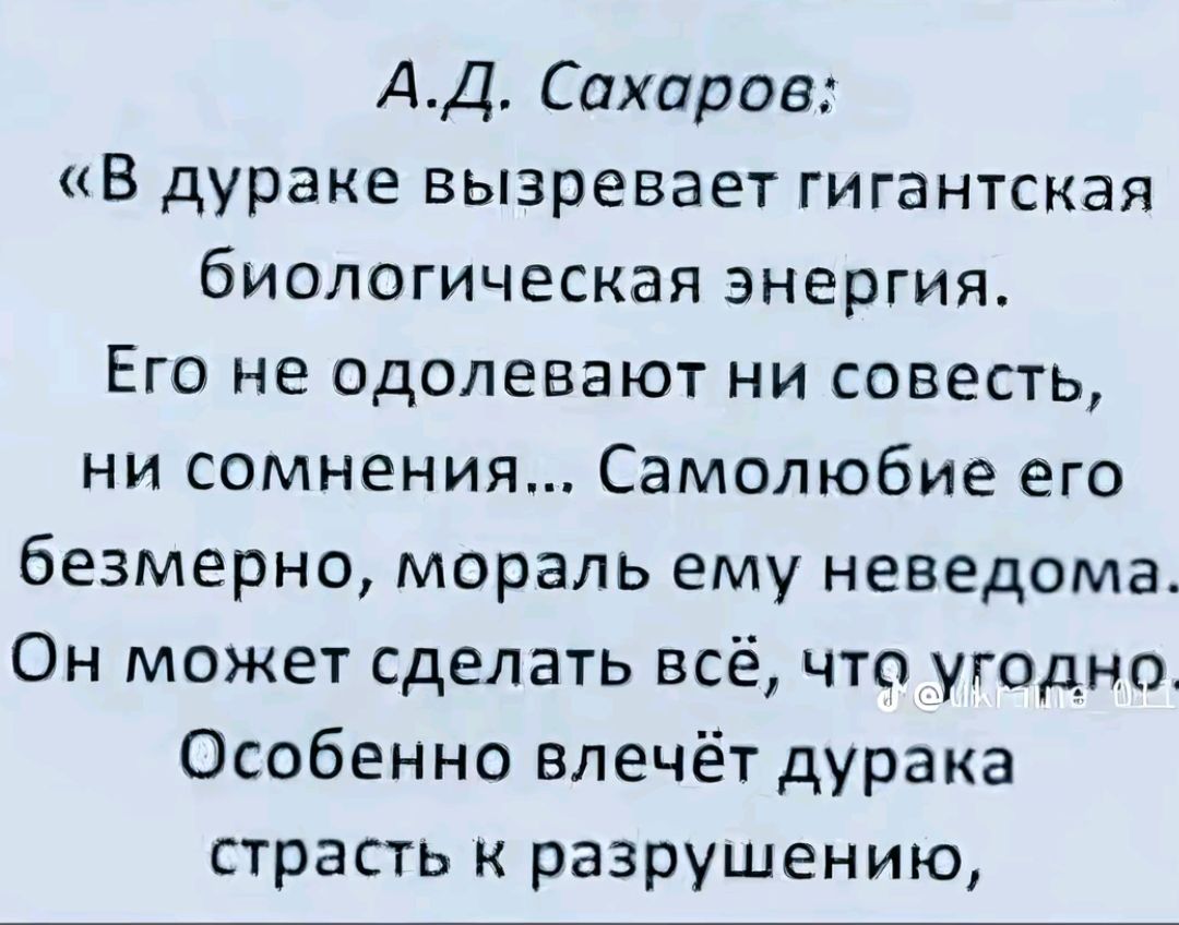 А.Д. Сахаров: «В дураке вызревает гигантская биологическая энергия. Его не одолевают ни совесть, ни сомнения... Самолюбие его безмерно, мораль ему неведома. Он может сделать всё, что угодно. Особенно влечёт дурака страсть к разрушению,»