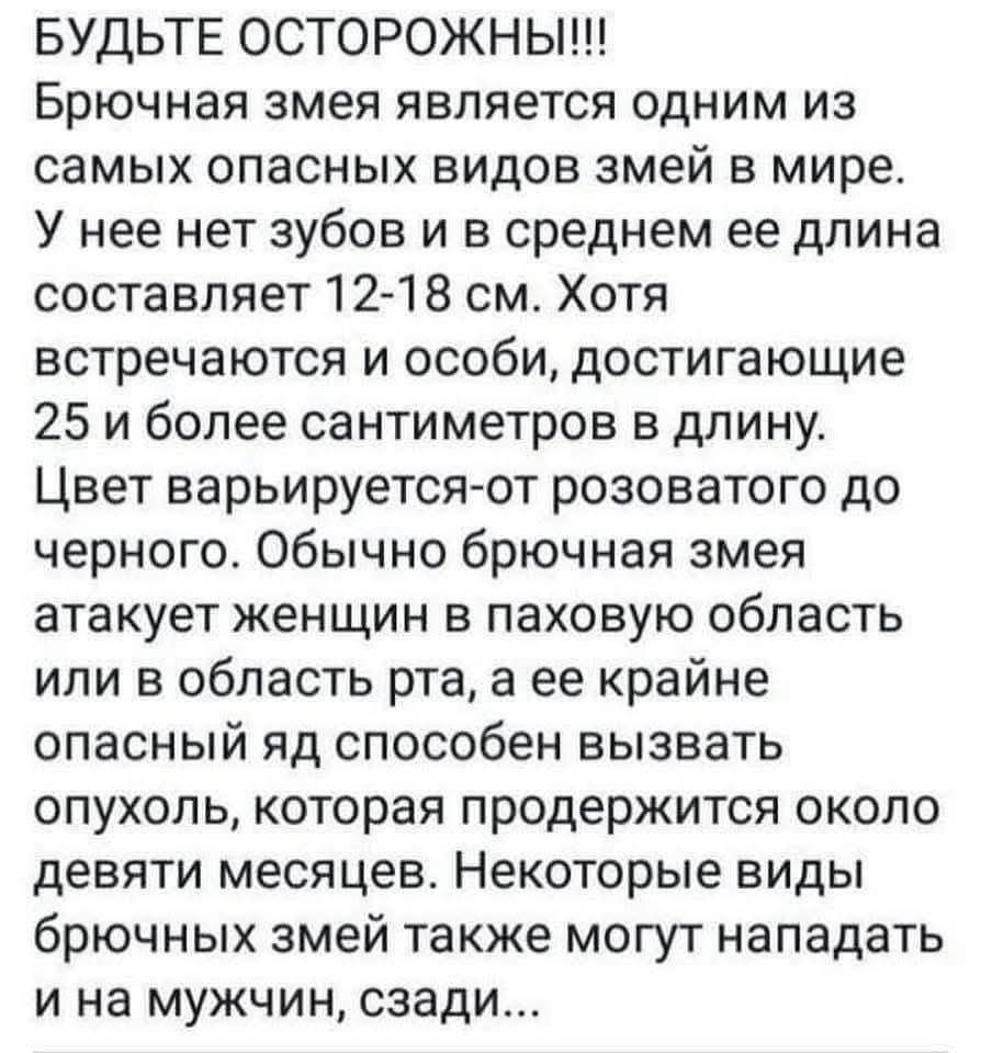 БУДЬТЕ ОСТОРОЖНЫ!!!
Брючная змея является одним из самых опасных видов змей в мире. У нее нет зубов и в среднем ее длина составляет 12-18 см. Хотя встречаются и особи, достигающие 25 и более сантиметров в длину. Цвет варьируется от розоватого до черного. Обычно брючная змея атакует женщин в паховую область или в область рта, а ее крайний опасный яд способен вызвать опухоль, которая продержится около девяти месяцев. Некоторые виды брючных змей также могут нападать и на мужчин, сзади...