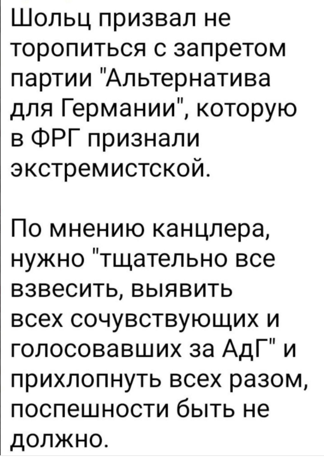 Шольц призвал не торопиться с запретом партии 