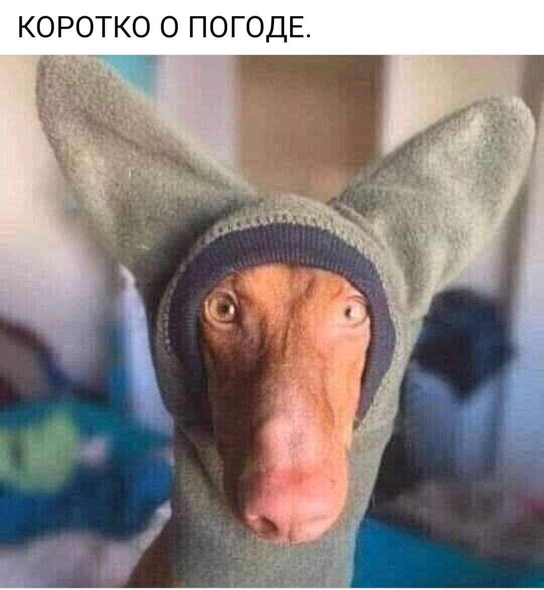 КРОТКО О ПОГОДЕ.