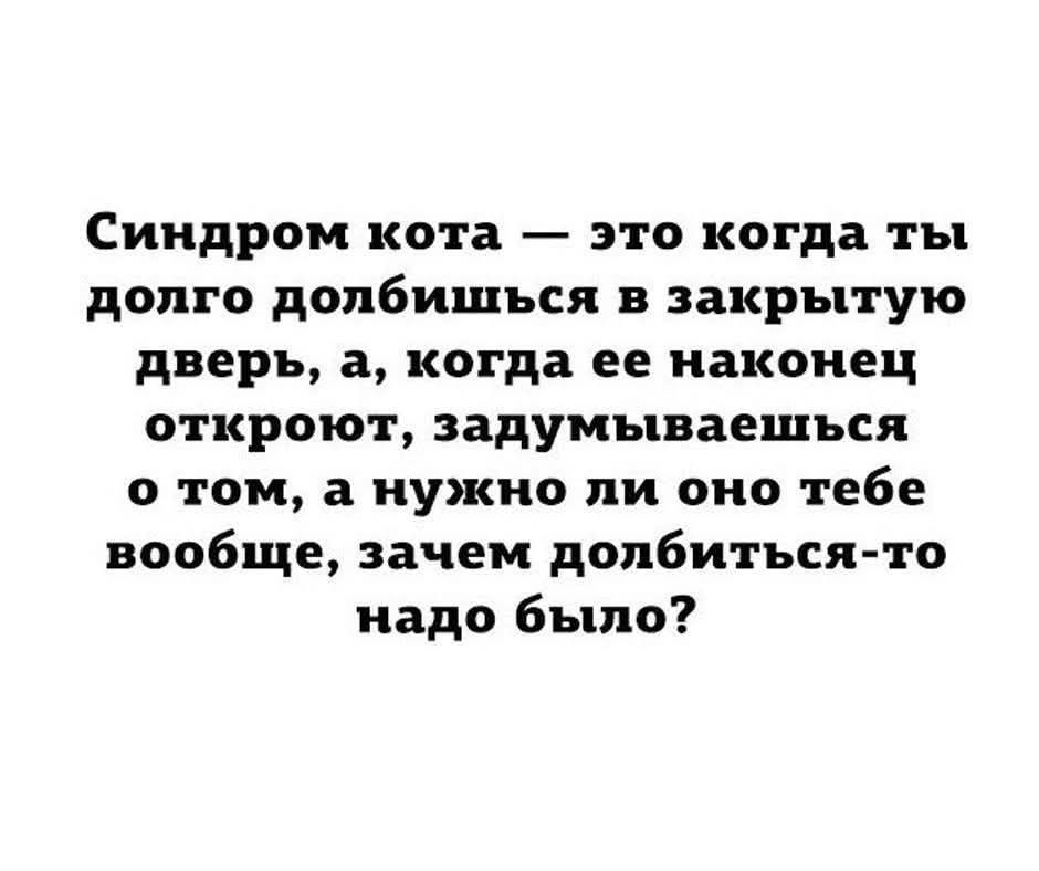 Синдром кота — это когда ты долго долбишься в закрытую дверь, а, когда ее наконец откроют, задумываешься о том, а нужно ли оно тебе вообще, зачем долбиться-то надо было?