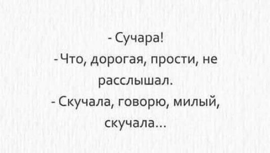 - Сучара!
- Что, дорогая, прости, не расслышал.
- Скучала, говорю, милый, скучала...