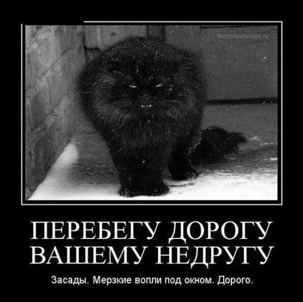 ПЕРЕБЕГУ ДОРОГУ ВАШЕМУ НЕДРУГУ
Засады. Мерзкие волки под окном. Дорого.