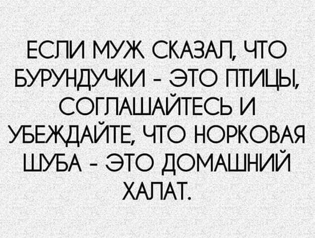 ЕСЛИ МУЖ СКАЗАЛ, ЧТО БУРНДУЧКИ - ЭТО ПТИЦЫ, СОГЛАШАЙТЕСЬ И УБЕГАЙТЕ, ЧТО НОРКОВАЯ ШУБА - ЭТО ДОМАШНИЙ ХАЛАТ.