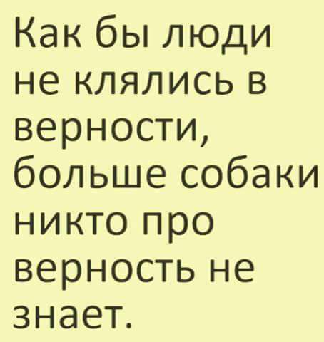 Как бы люди не клялись в верности, больше собаки никто про верность не знает.