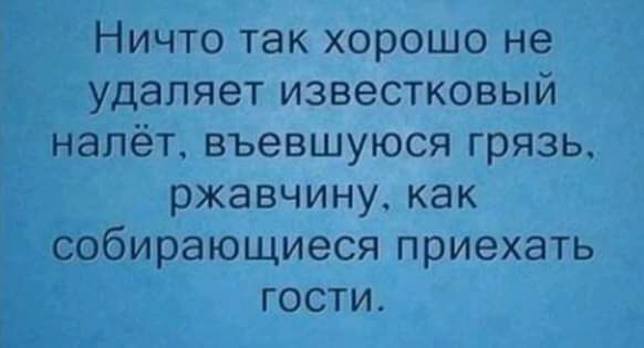 Ничто так хорошо не удаляет известковый налёт, въевшуюся грязь, ржавчину, как собирающиеся приезжать гости.