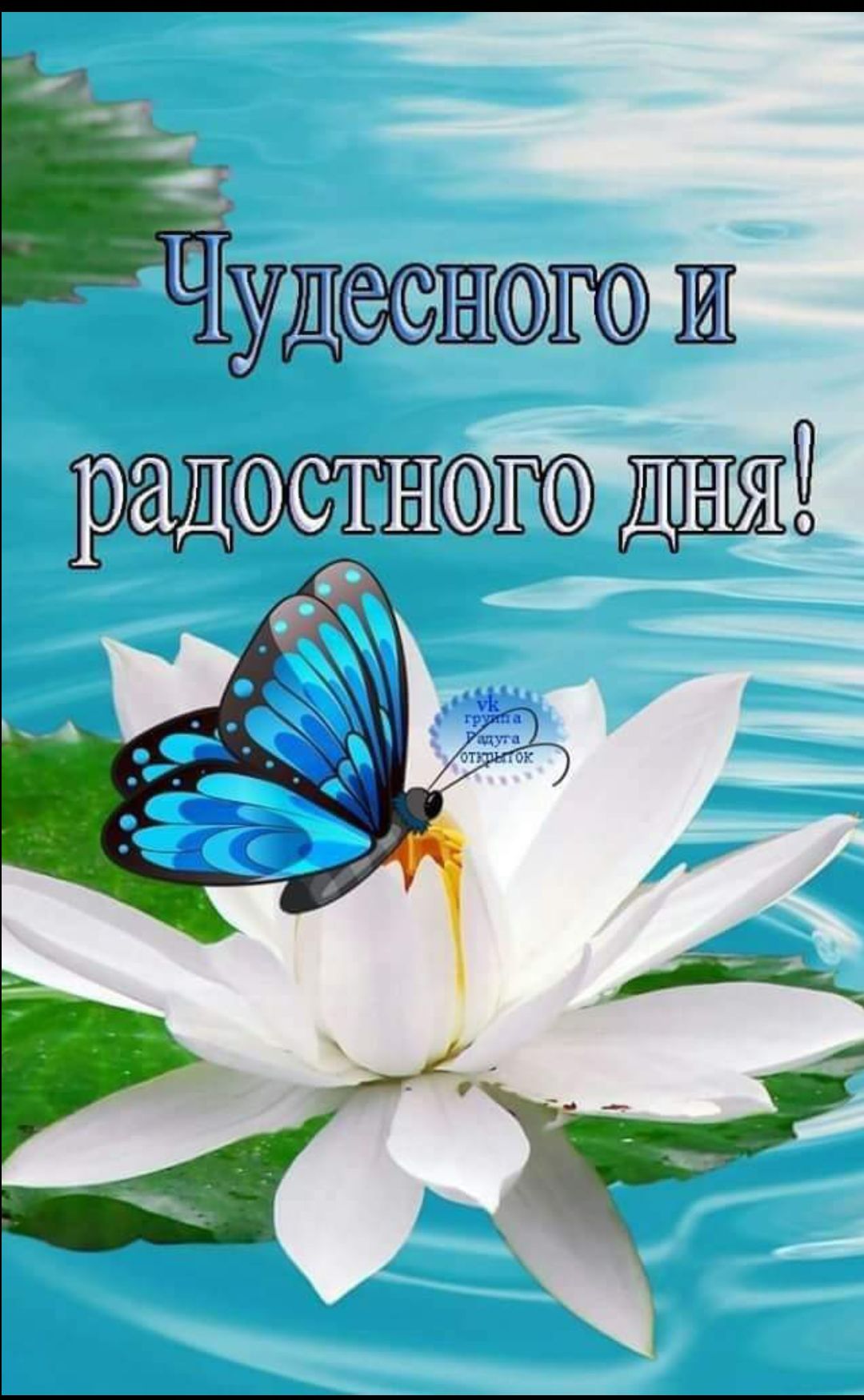 Чудесного и радостного дня!