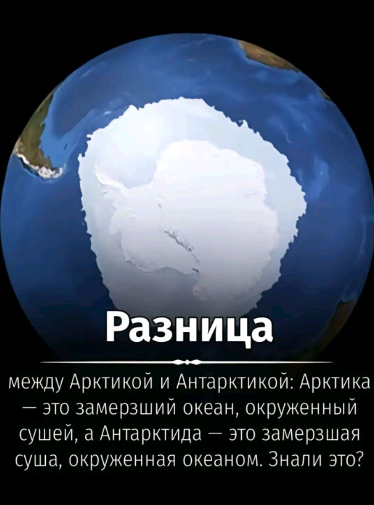 Разница
между Арктикой и Антарктикой: Арктика — это замерзший океан, окруженный сушей, а Антарктида — это замерзшая суша, окруженная океаном. Знали это?