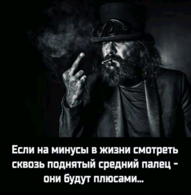 Если на минусы в жизни смотреть сквозь поднятый средний палец - они будут плюсами...