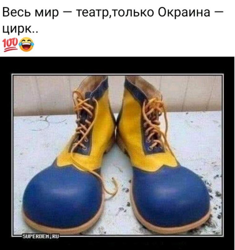 Весь мир — театр, только Украина — цирк..