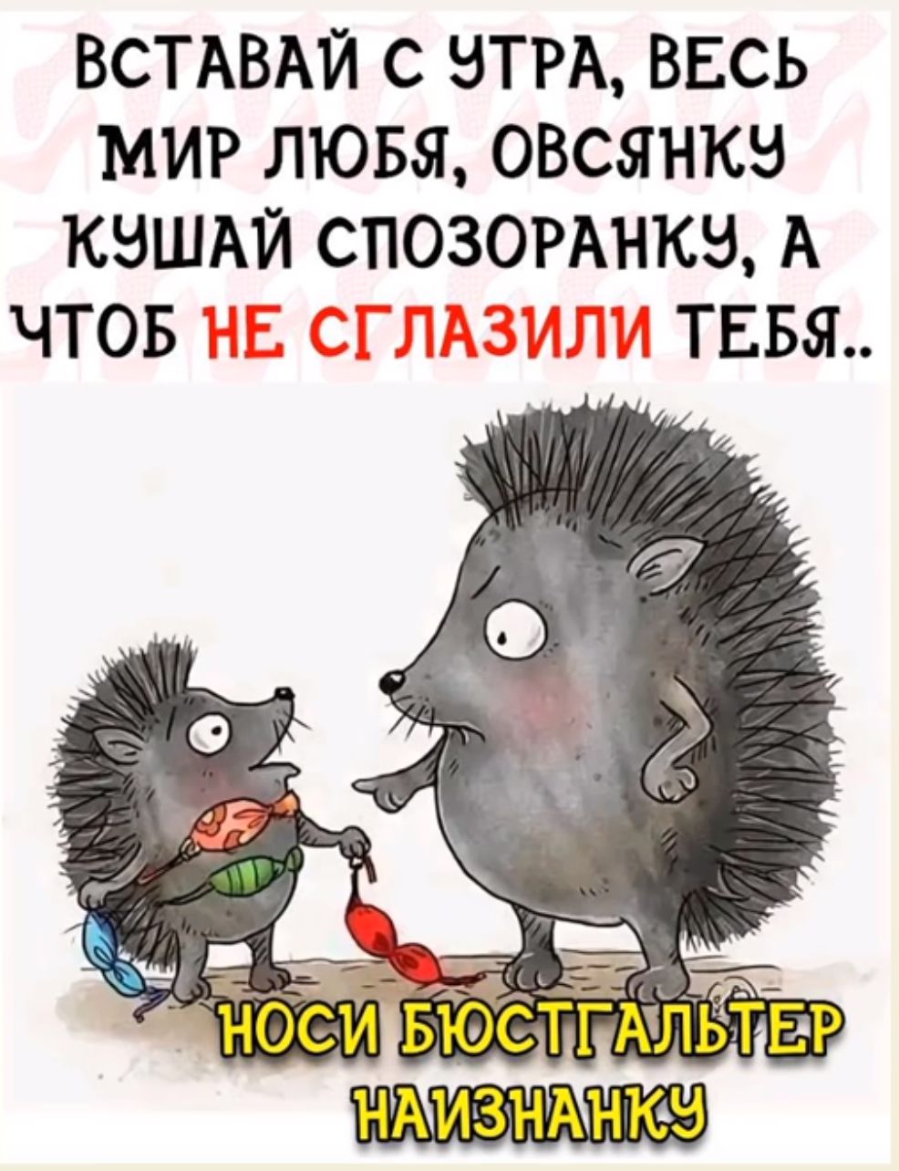 ВСТАВАЙ С УТРА, ВЕСЬ МИР ЛЮБЯ, ОВСЯНКУ КУШАЙ СПОЗОРАНКУ, А ЧТОБ НЕ СГЛАЗИЛИ ТЕБЯ..
НОСИ БЮСТГАЛЬТЕР НАИЗНАНКУ