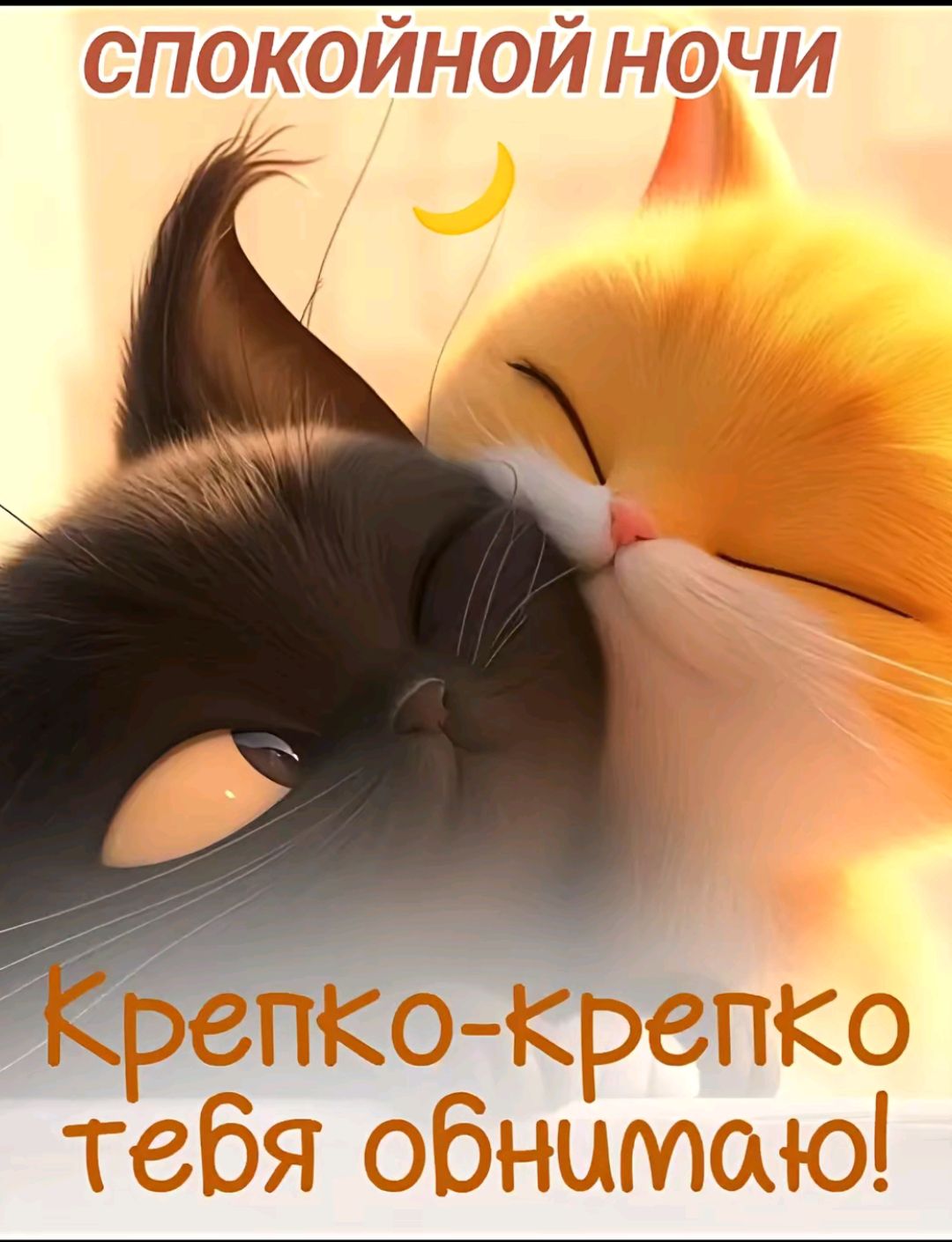 СПОКОЙНОЙ НОЧИ
Крепко-крепко тебя обнимаю!