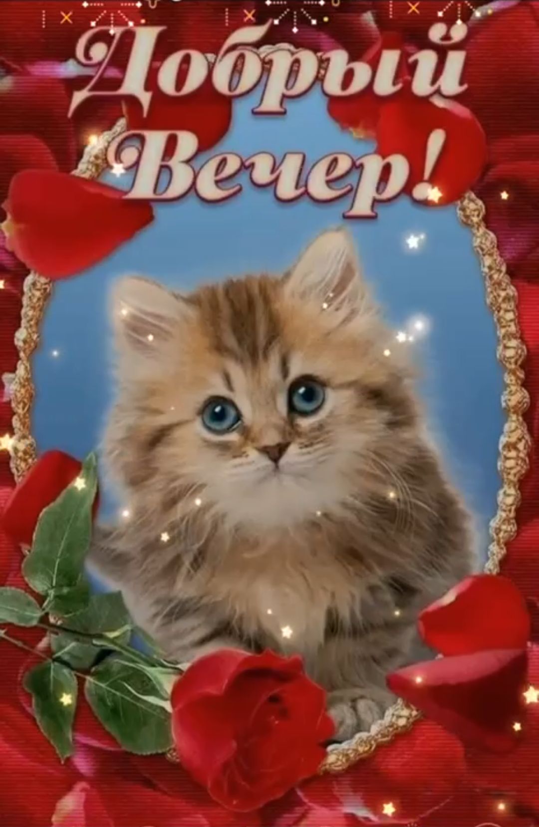 Добрый Вечер!