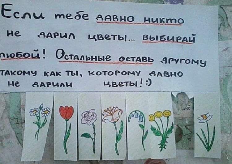 Если тебе давно никто не дарил цветы... выбирай любой! Остальные оставь аргументу такому как ты, которому давно не дарили цветы! :)