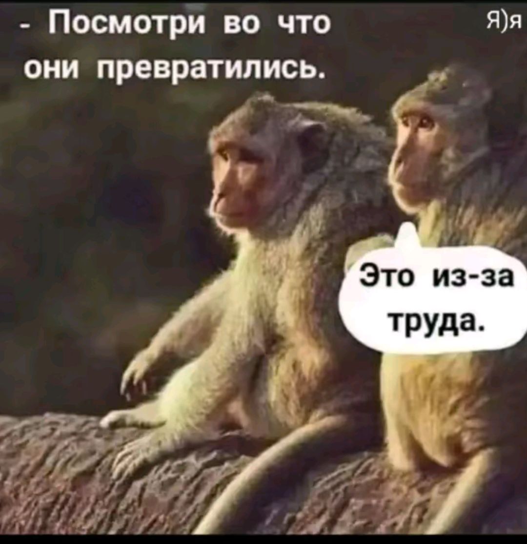 - Посмотри во что они превратились.
Это из-за труда.