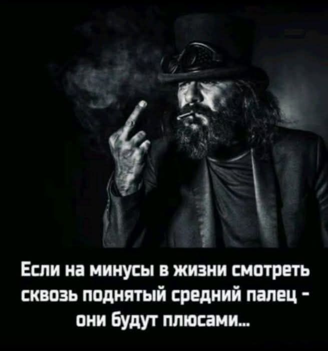 Если на минусы в жизни смотреть сквозь поднятый средний палец - они будут плюсами...
