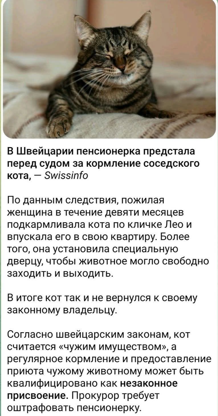 В Швейцарии пенсионерка предстала перед судом за кормление соседского кота, — Swissinfo

По данным следствия, пожилая женщина в течение девяти месяцев подкармливала кота по кличке Лео и впускала его в свою квартиру. Более того, она установила специальную дверь, чтобы животное могло свободно заходить и выходить.

В итоге кот так и не вернулся к своему законному владельцу.

Согласно швейцарским законом, кот считается «чужим имуществом», а регулярное кормление и предоставление приюта чужому животному может быть квалифицировано как незаконное присвоение. Прокурор требует оштрафовать пенсионерку.