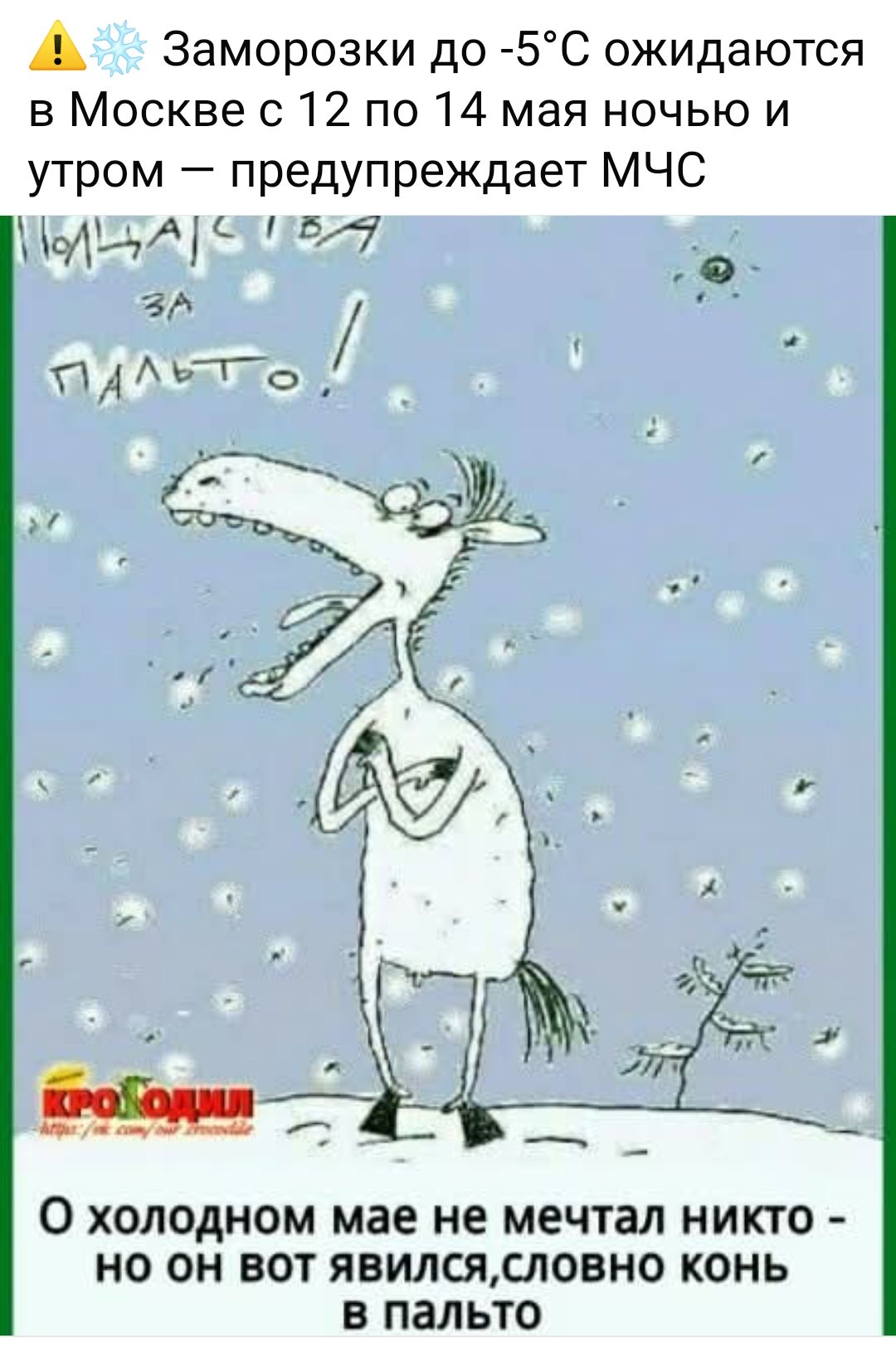 ⚠️ Заморозки до -5°C ожидаются в Москве с 12 по 14 мая ночью и утром – предупреждает МЧС

О холодном мае не мечтал никто - но он вот явился, словно конь в пальто