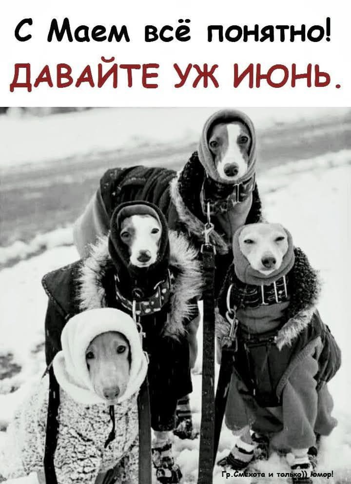 С Маем всё понятно! ДАВАЙТЕ УЖ ИЮНЬ.