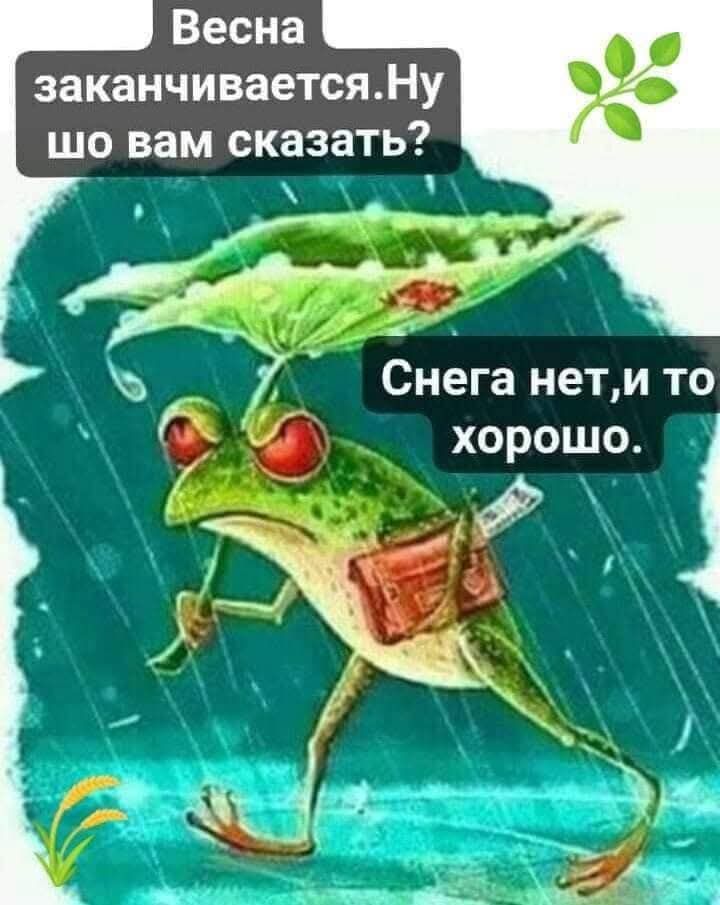 Весна заканчивается. Ну шо вам сказать? Снега нет, и то хорошо.