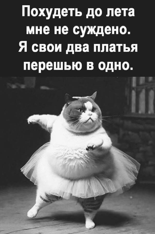 Похудеть до лета мне не суждено. Я свои два платья перешью в одно.