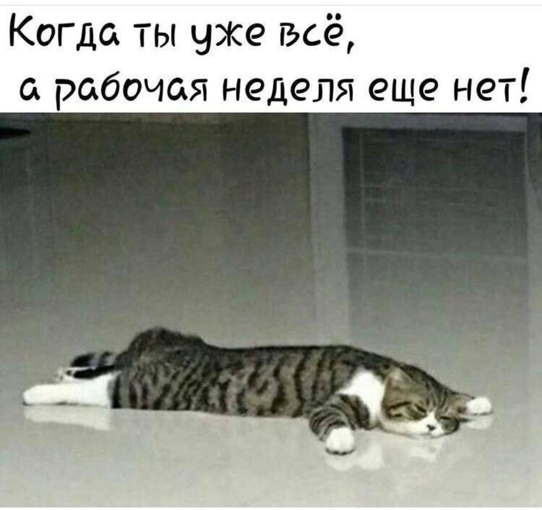Когда ты уже всё, а рабочая неделя ещё нет!