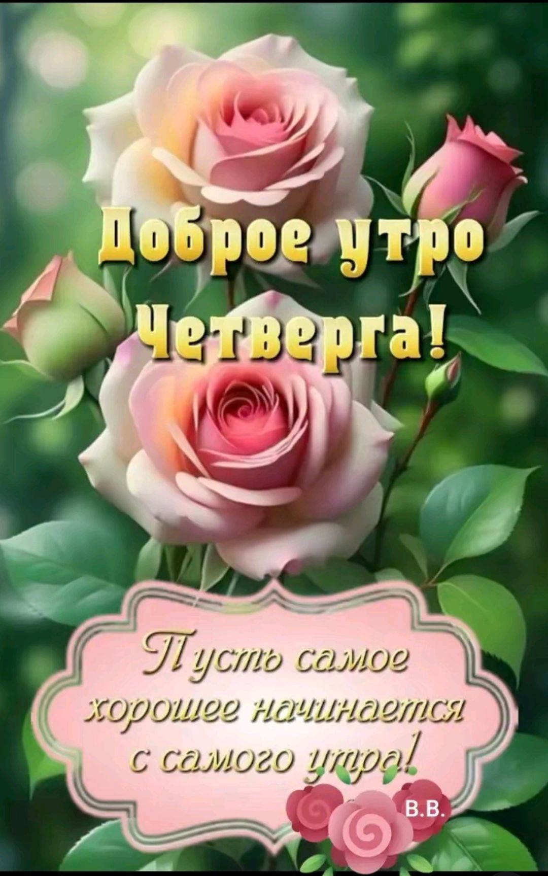 Доброе утро Четверга! Пусть самое хорошее начинается с самого утра!