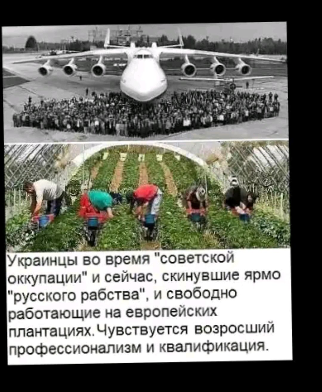Украинцы во время 