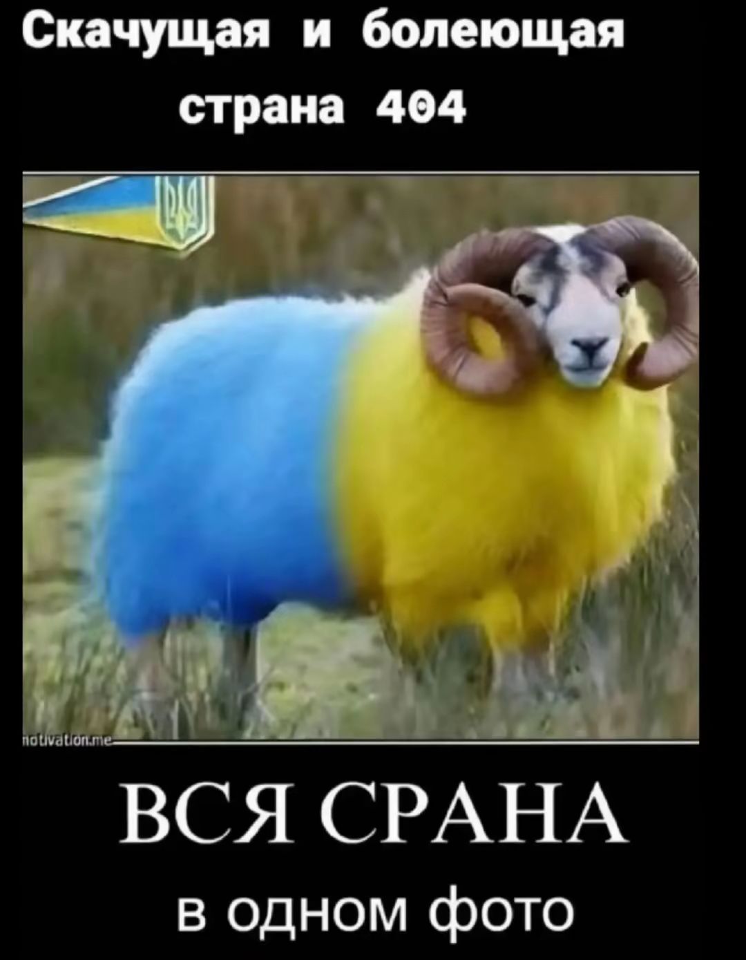 Скачу́щая и боле́ющая стра́на 404 ВСЯ СРАНА в одном фото
