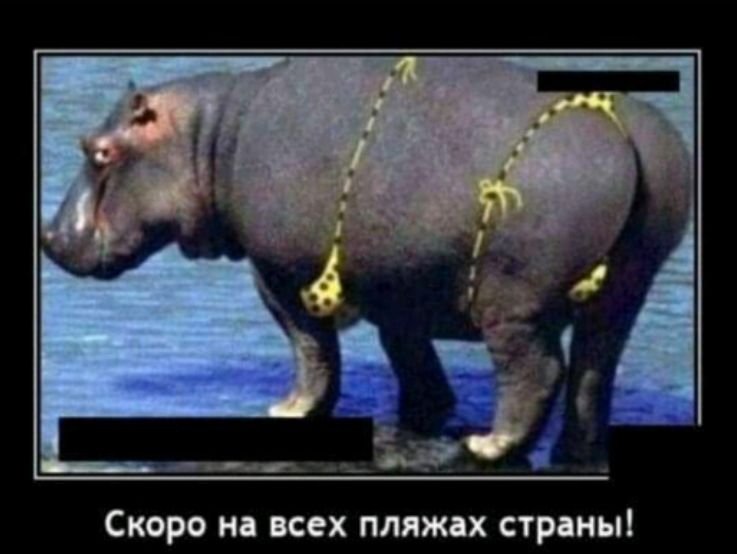 Скоро на всех пляжах страны!