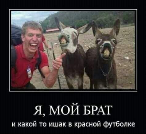 Я, МОЙ БРАТ и какой то ишак в красной футболке