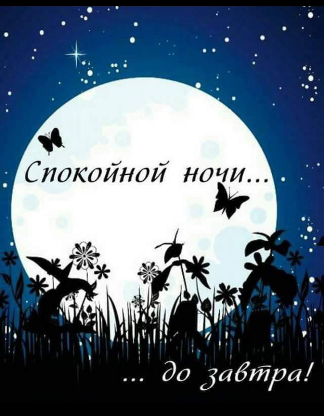 Спокойной ночи... до завтра!
