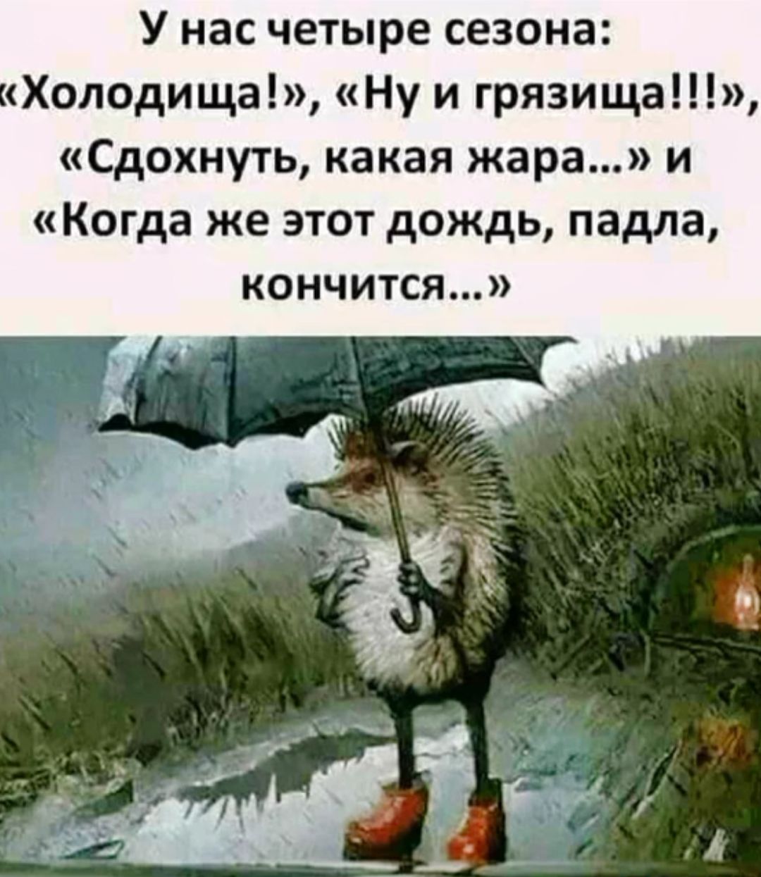 У нас четыре сезона: «Холодища!», «Ну и грязища!!!», «Сдохнуть, какая жара...» и «Когда же этот дождь, падла, кончится...»